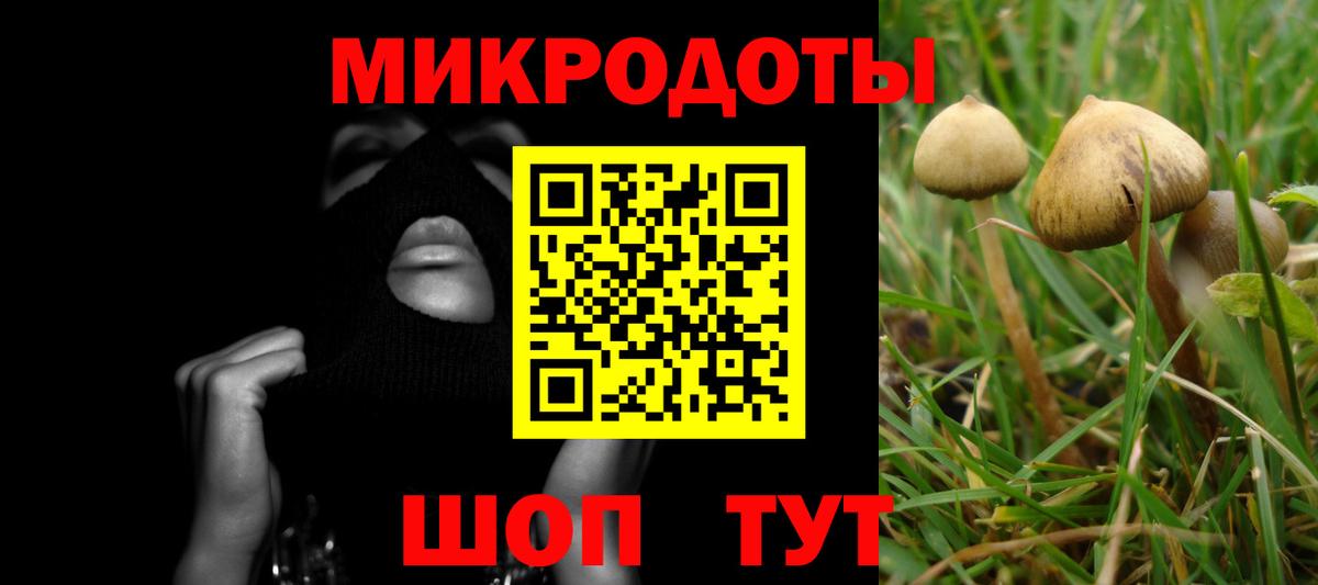 Галлюциногенные грибы Cubensis Янаул